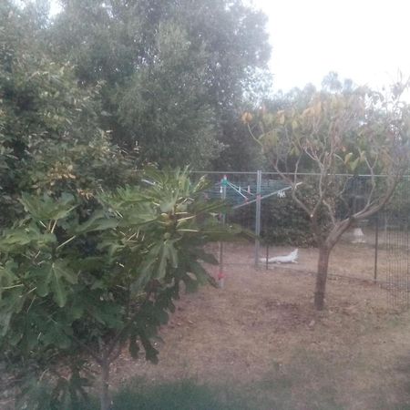 הוילה Magalas A Fontanille מראה חיצוני תמונה
